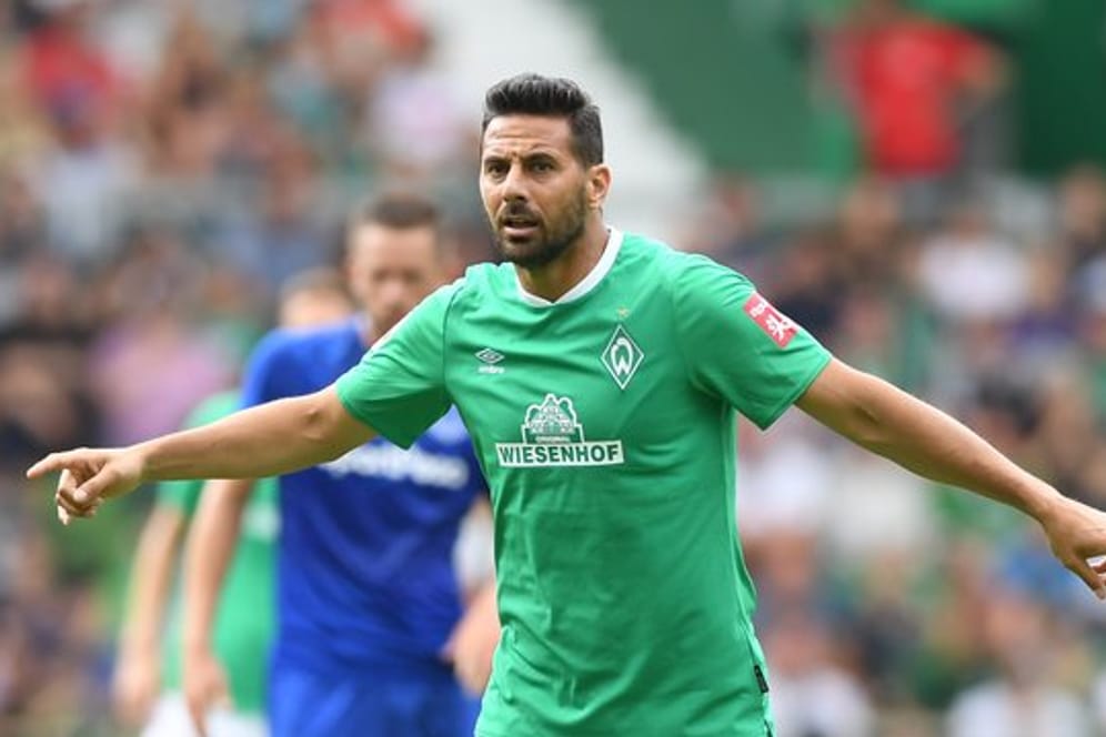 Claudio Pizarro startet mit Werder gegen Fortuna Düsseldorf.