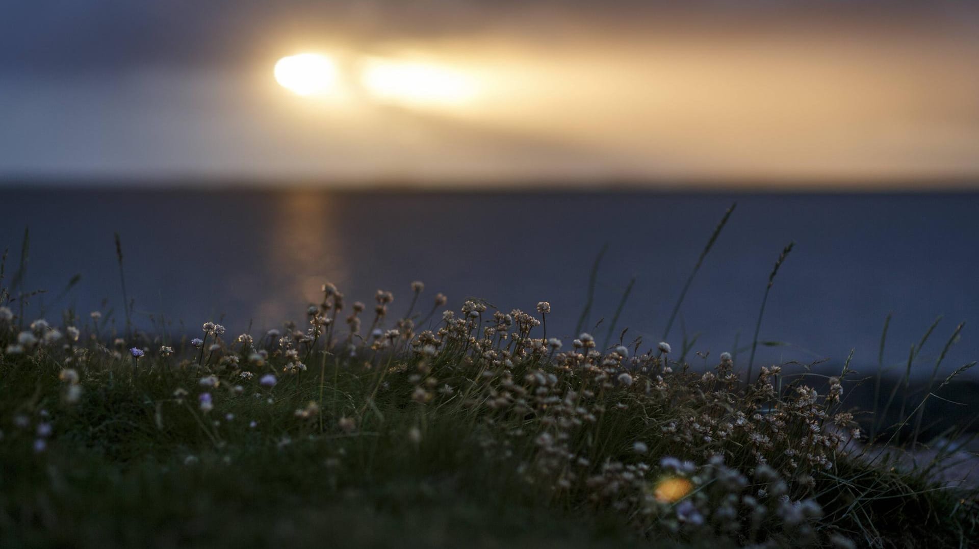 Die Abendsonne bricht durch die Wolken: Ab Mittwoch könnte es wieder warm und sommerlich werden. (Archivbild)