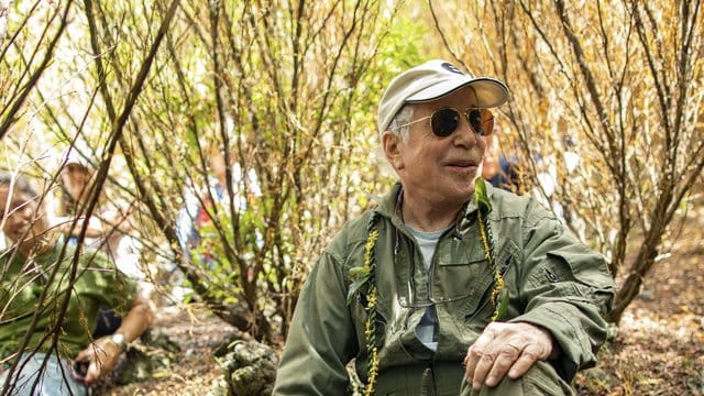 Der Musiker Paul Simon im Wald.