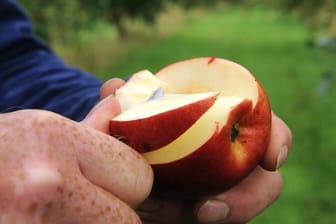 Äpfel sind gesund - insbesondere für Raucher und Trinker.