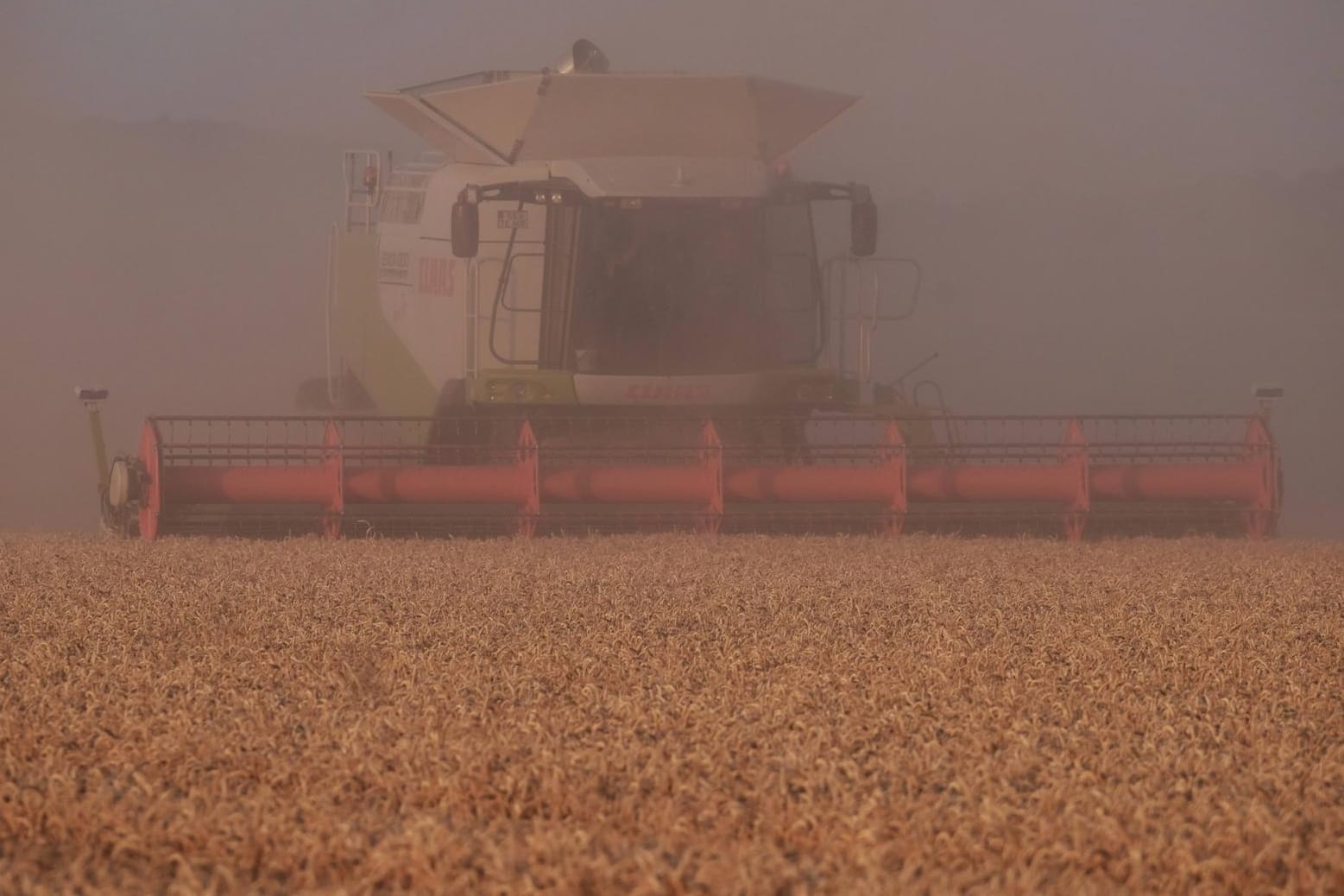 Weizen wird gemäht: Die Landwirtschaft hat unter der Dürre im vergangenen Jahr gelitten – der Staat zahlte bisher 228 Millionen Euro an Nothilfegeldern aus.