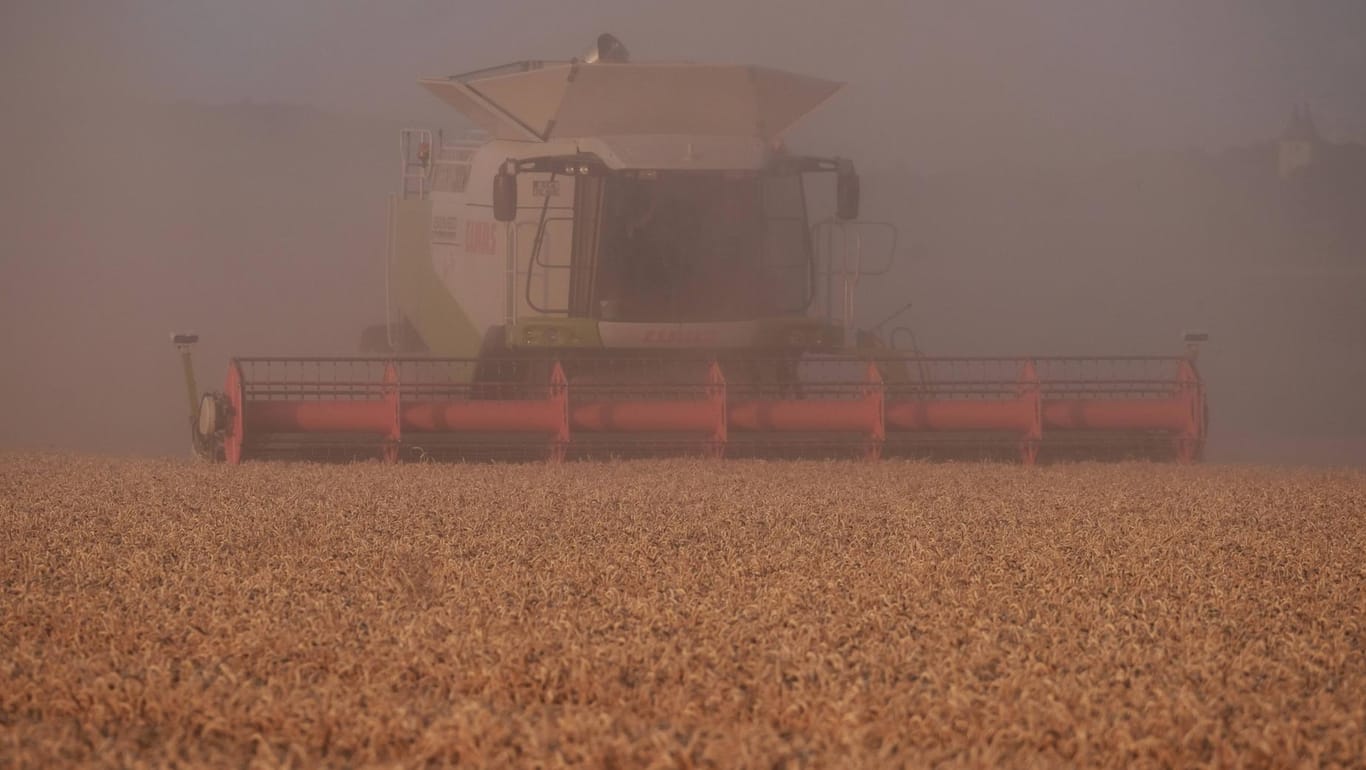 Weizen wird gemäht: Die Landwirtschaft hat unter der Dürre im vergangenen Jahr gelitten – der Staat zahlte bisher 228 Millionen Euro an Nothilfegeldern aus.
