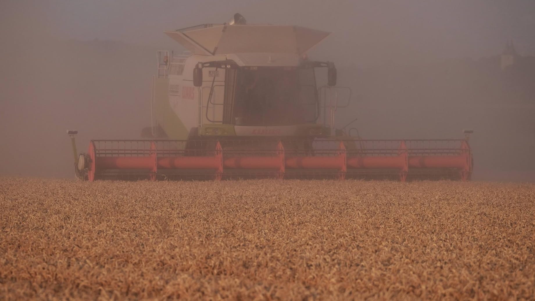 Weizen wird gemäht: Die Landwirtschaft hat unter der Dürre im vergangenen Jahr gelitten – der Staat zahlte bisher 228 Millionen Euro an Nothilfegeldern aus.