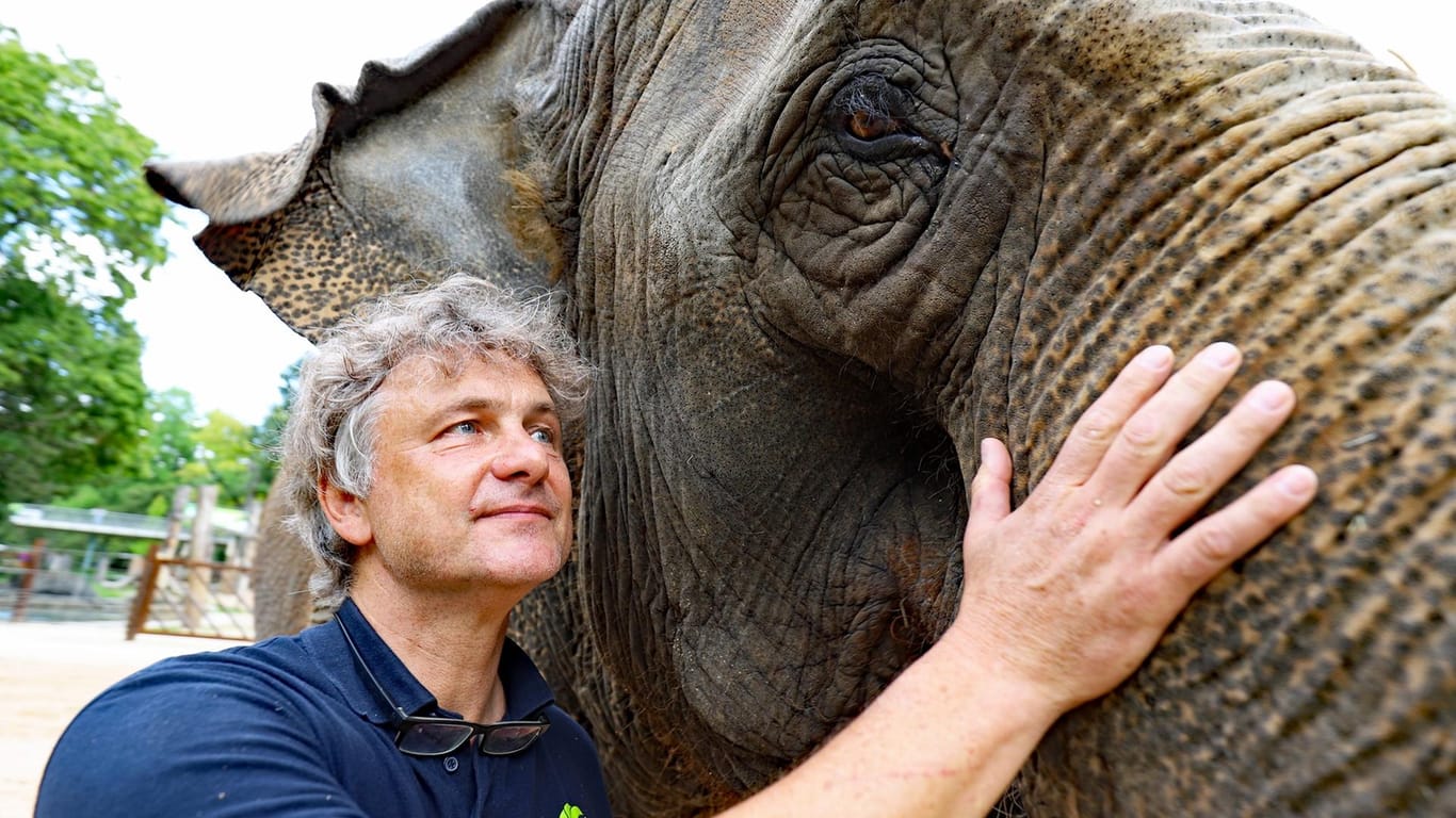 OB Mentrup und die Elefantendame: Heute hat der Oberbürgermeister seine Dienstkleidung gewechselt und war als Elefantenpfleger im Einsatz.