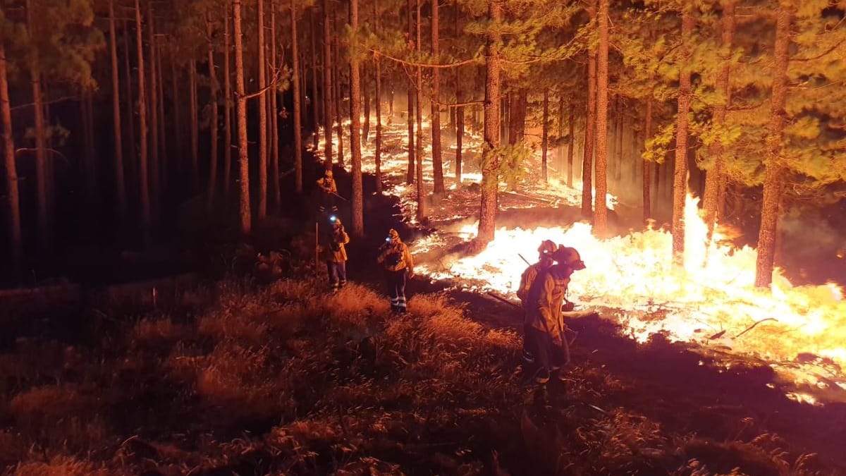 Waldbrand auf Gran Canaria: Feuerwehrleute kämpfen in den Bergen der Insel gegen das Feuer, das nun auch den als "grüne Lunge" bekannten Naturpark Tamadaba bedroht.