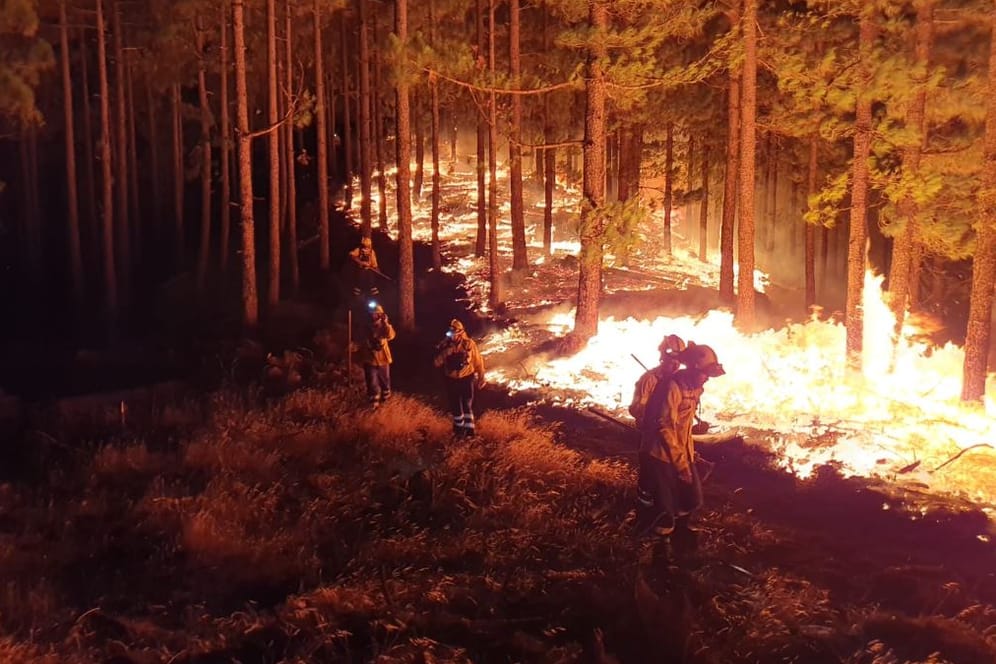 Waldbrand auf Gran Canaria: Feuerwehrleute kämpfen in den Bergen der Insel gegen das Feuer, das nun auch den als "grüne Lunge" bekannten Naturpark Tamadaba bedroht.