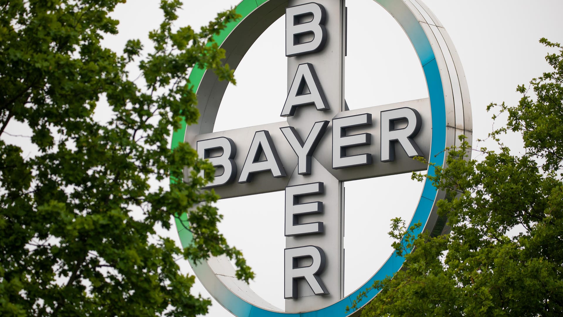 Logo von Bayer: Bei dem aktuellen Verkauf erhält das Unternehmen 5,3 Milliarden Dollar in bar.