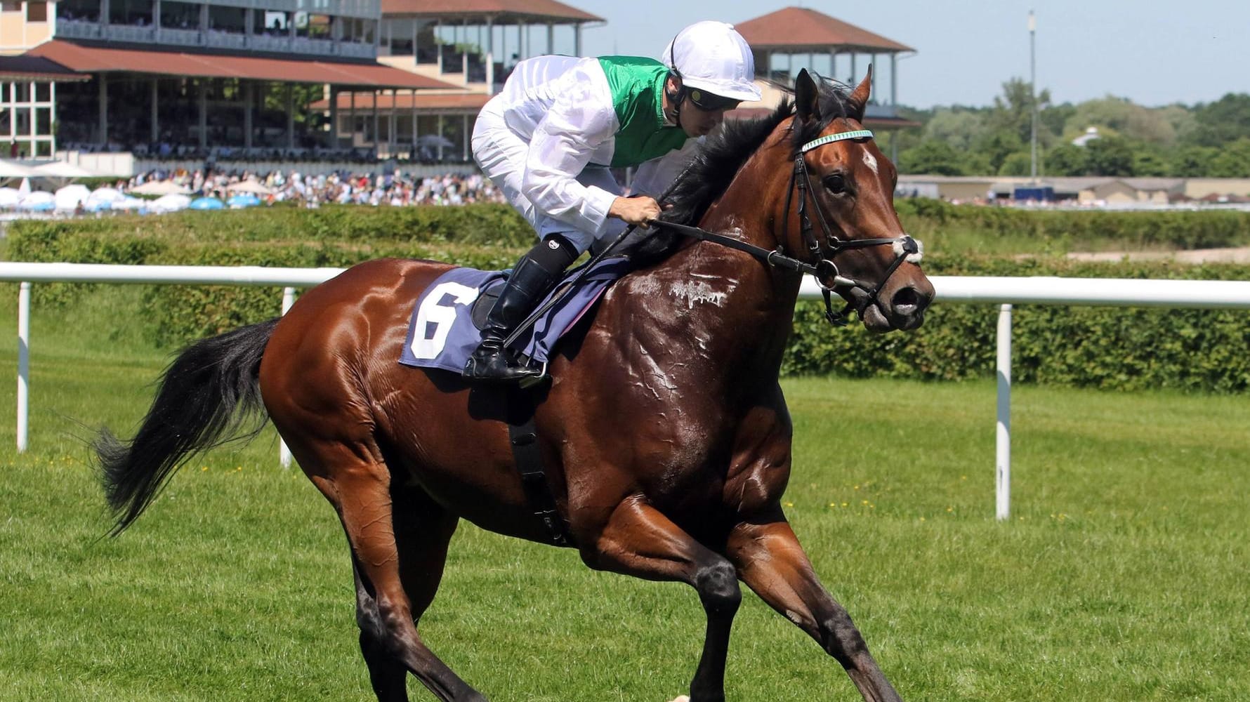 Pferd mit Jockey beim Aufgalopp: Auf der Pferderennbahn in Iffezheim startet die Große Woche.