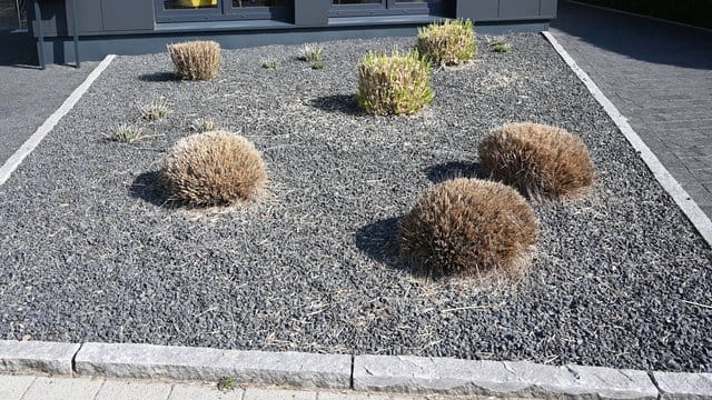 Pflanzen ragen aus einem Vorgarten mit grauen und schwarzen Kieselsteinen.