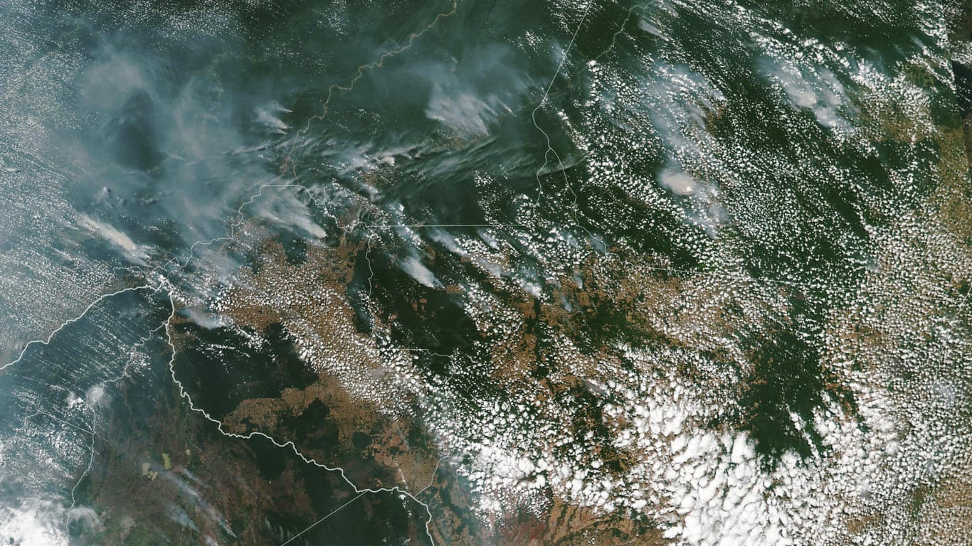 Waldbrände in der brasilianischen Amazonas-Region: Die Zahl der Waldbrände in Brasilien hat im Vergleich zum Vorjahr um 83 Prozent zugenommen.