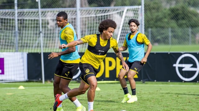 Fühlt sich beim BVB wohl: Axel Witsel (M.