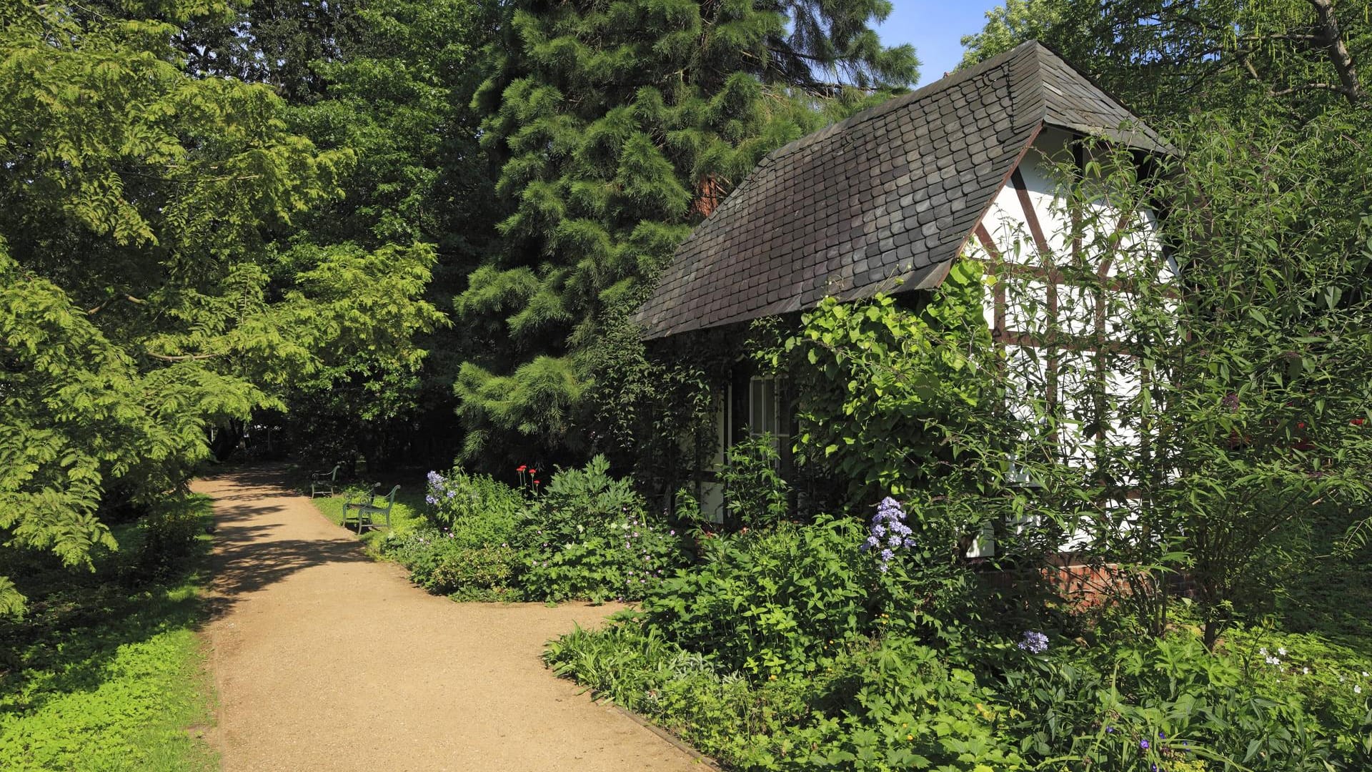 Alter Botanischer Garten in Kiel: Ein idyllischer Ort zum Entspannen und Spazieren.