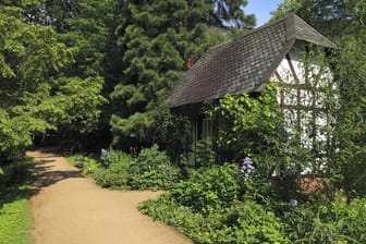 Alter Botanischer Garten in Kiel: Ein idyllischer Ort zum Entspannen und Spazieren.