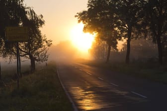 Sonnenaufgang bei Lüchow-Dannenberg: Ohne bessere technische Infrastruktur werden noch mehr Menschen die ländlichen Regionen verlassen, befürchtet unsere Gastautorin.