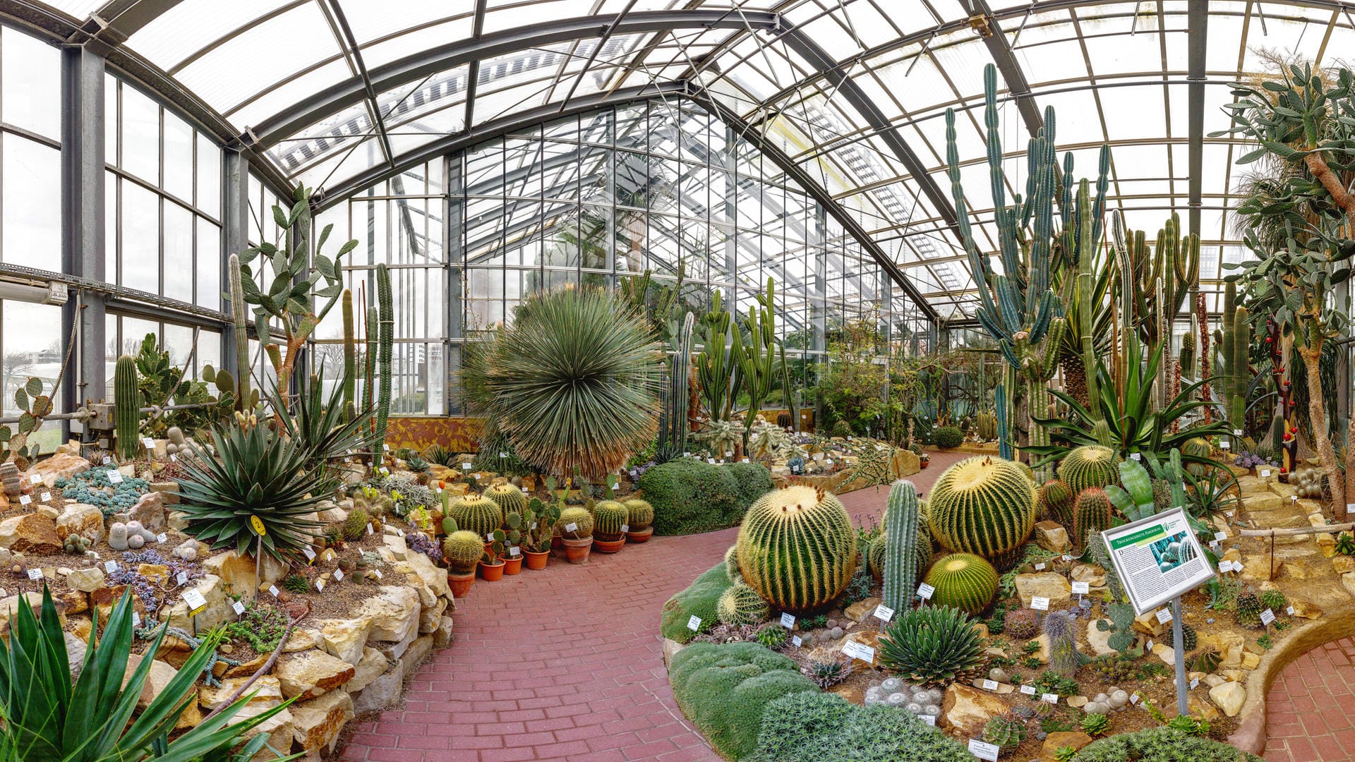 Aridhaus Amerika im Botanischen Garten: Dieser gehört zur Christian-Albrechts-Universität zu Kiel.