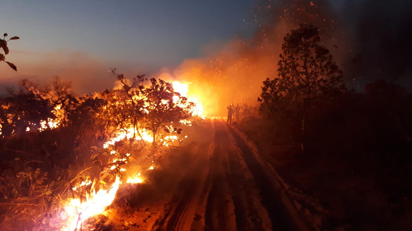 Eine Gruppe beobachtet die Flammen bei einem Waldbrand im Naturpark Chapada dos Guimaraes: Noch nie hat es in dem Gebiet so stark gebrannt.