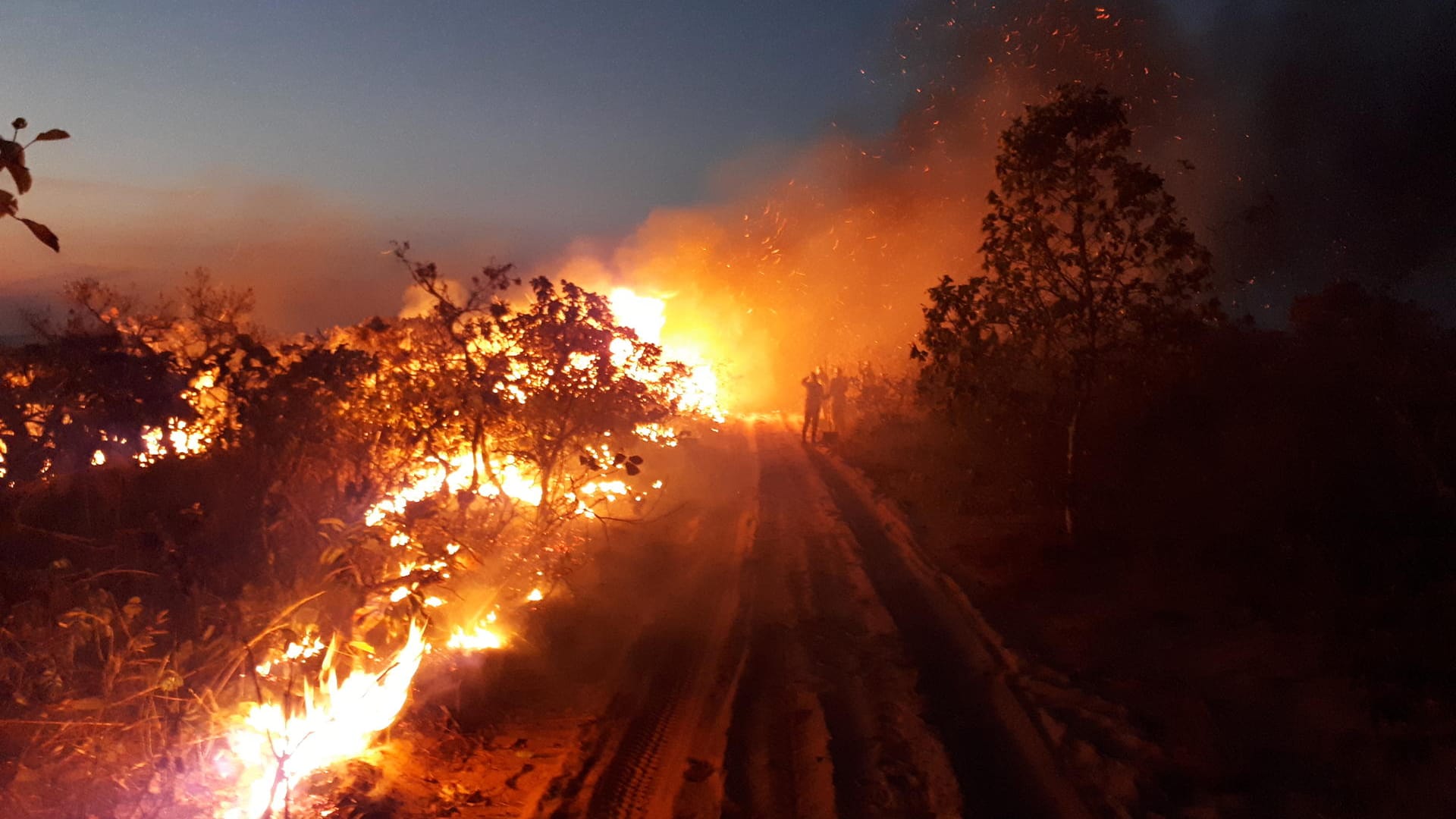 Eine Gruppe beobachtet die Flammen bei einem Waldbrand im Naturpark Chapada dos Guimaraes: Noch nie hat es in dem Gebiet so stark gebrannt.