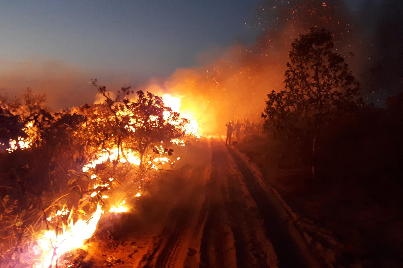 Eine Gruppe beobachtet die Flammen bei einem Waldbrand im Naturpark Chapada dos Guimaraes: Noch nie hat es in dem Gebiet so stark gebrannt.