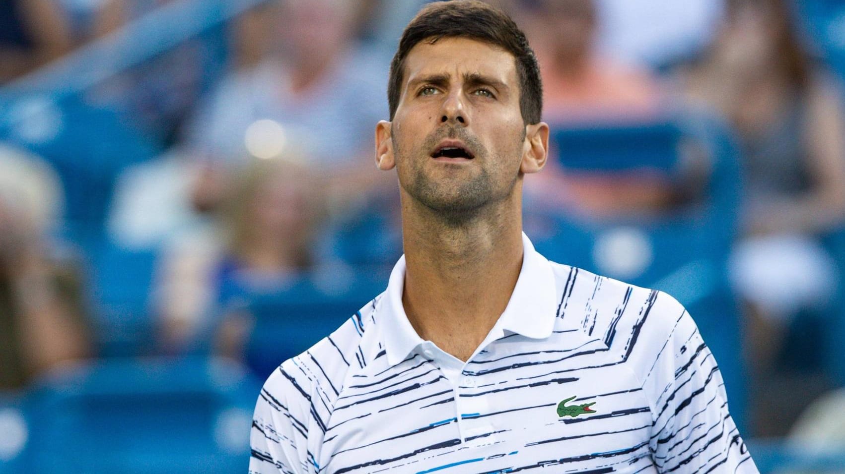 Triumphiert Novak Djokovic auch 2019 bei den US Open? Vieles spricht dafür.