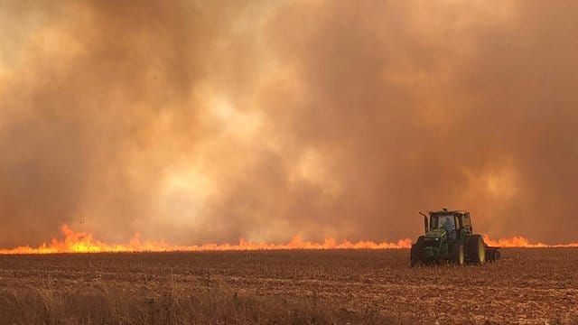 In Brasilien wüten die schwersten Waldbrände seit Jahren.