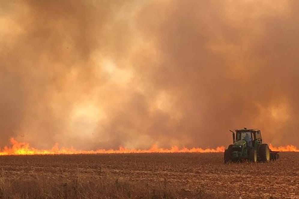 In Brasilien wüten die schwersten Waldbrände seit Jahren.