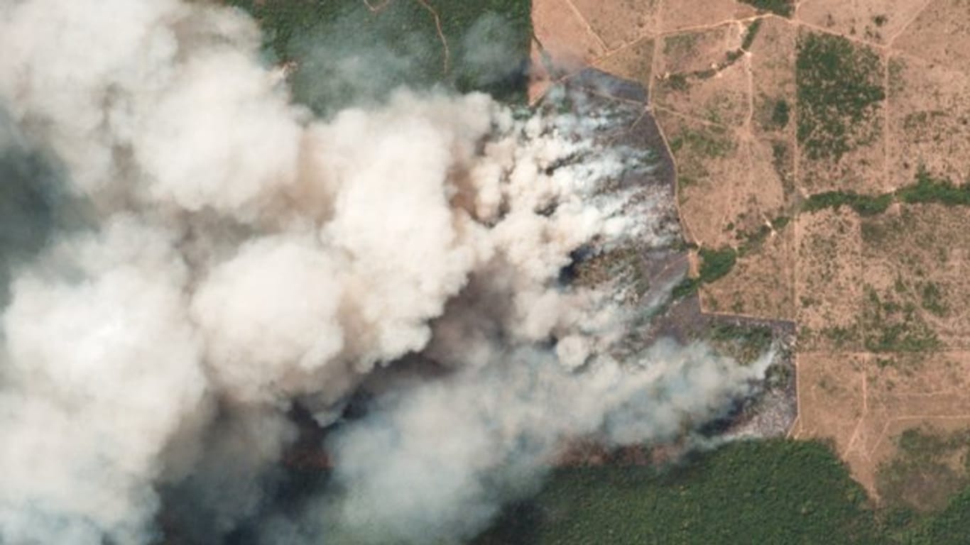 Das Satellitenbild zeigt die Brände in den betroffenen Regionen in dem brasilianischen Bundesstaat Pará.
