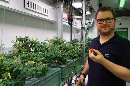 Raumfahrtingenieur Paul Zabel erntet in einem speziellen Gewächshaus in der Antarktis dort gezogene Tomaten.