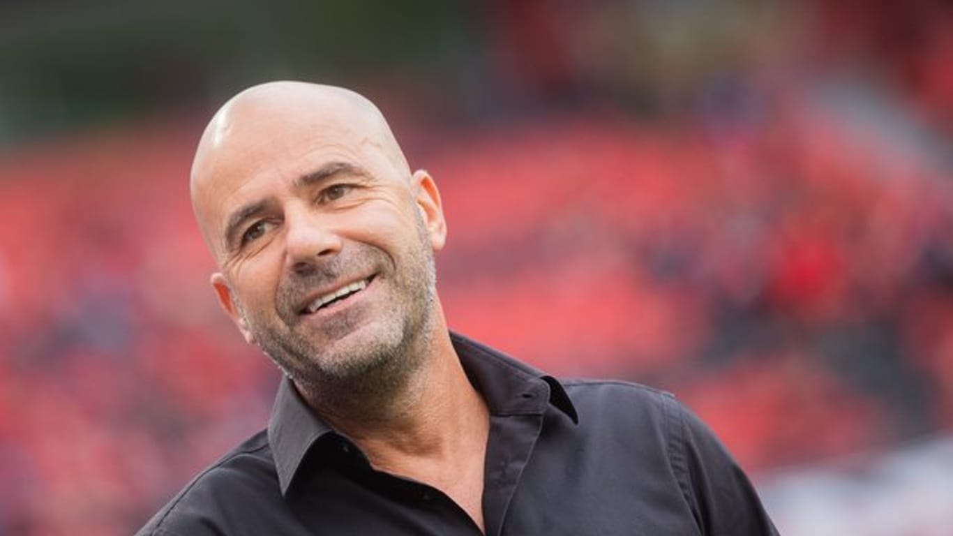 Die Macher bei Bayer Leverkusen sind zufrieden mit der Arbeit von Trainer Peter Bosz.