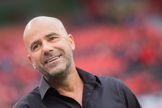 Die Macher bei Bayer Leverkusen sind zufrieden mit der Arbeit von Trainer Peter Bosz.