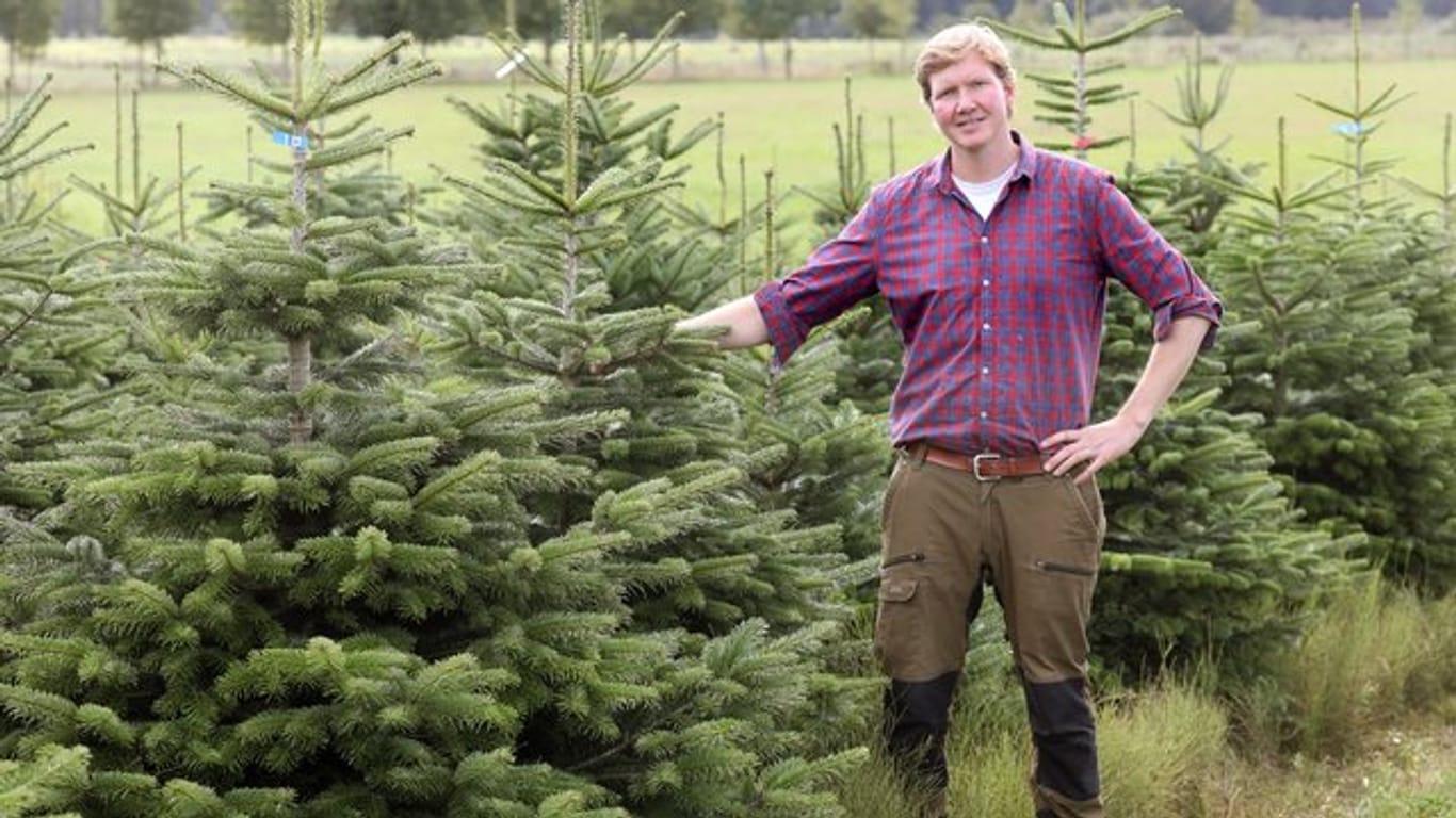 Benedikt Schneebecke, Vorsitzender vom neu gegründeten "Verband Natürlicher Weihnachtsbaum", macht sich für die echte Baumvariante stark.