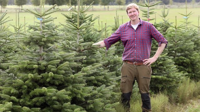 Benedikt Schneebecke, Vorsitzender vom neu gegründeten "Verband Natürlicher Weihnachtsbaum", macht sich für die echte Baumvariante stark.