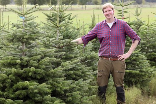 Benedikt Schneebecke, Vorsitzender vom neu gegründeten "Verband Natürlicher Weihnachtsbaum", macht sich für die echte Baumvariante stark.