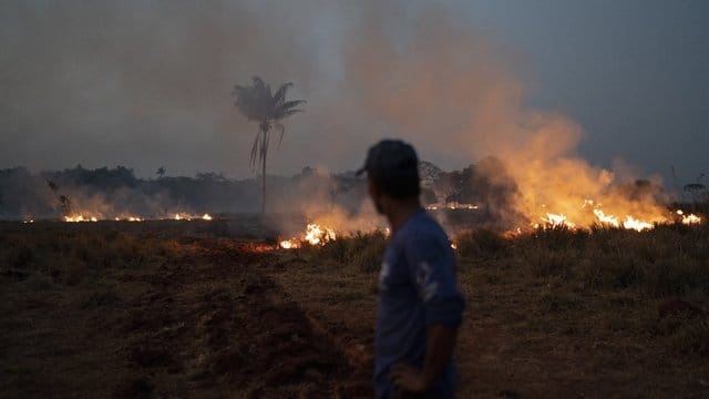 In Brasilien wüten derzeit die schwersten Waldbrände seit Jahren.