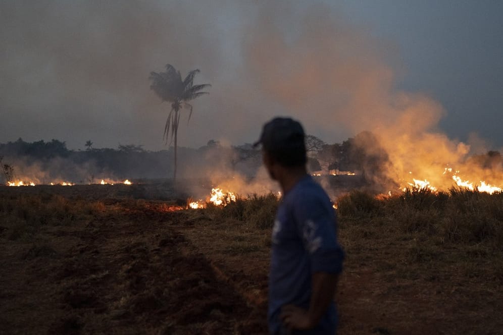 In Brasilien wüten derzeit die schwersten Waldbrände seit Jahren.