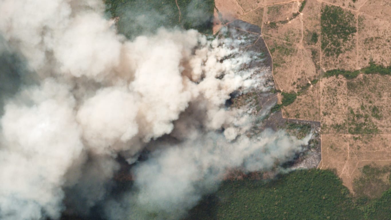Ein Satellitenbild zeigt die Brände in den betroffenen Regionen in dem brasilianischen Bundesstaat Pará: Die auf gerodeten Flächen angebauten Produkte werden auch nach Deutschland exportiert.