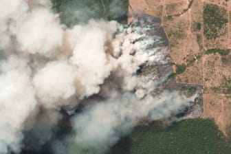 Ein Satellitenbild zeigt die Brände in den betroffenen Regionen in dem brasilianischen Bundesstaat Pará: Die auf gerodeten Flächen angebauten Produkte werden auch nach Deutschland exportiert.