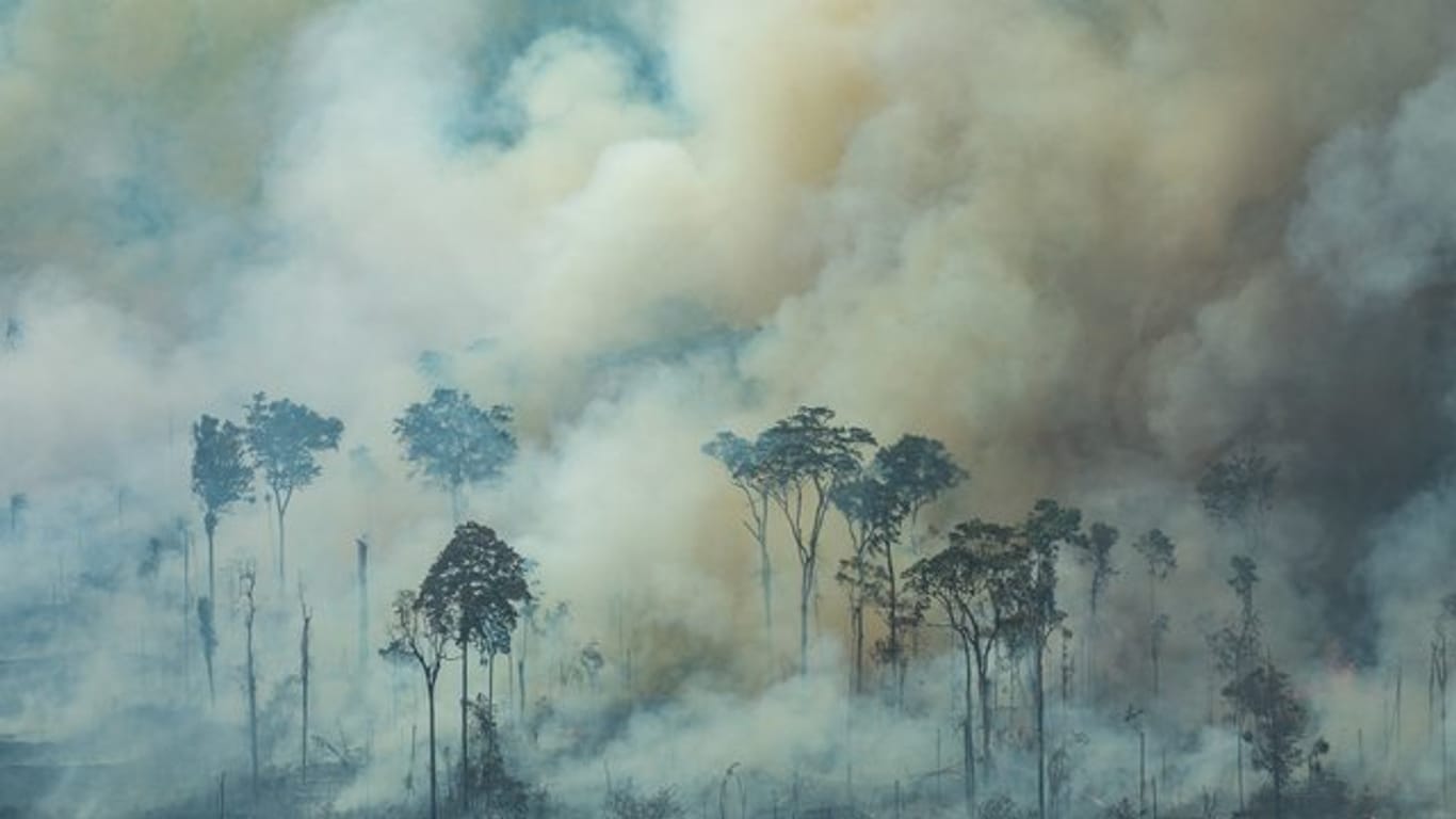 Bei einem Brand nahe der Stadt Caneiras do Jamari in Bundesstaat Rondônia steigt dichter Rauch auf.