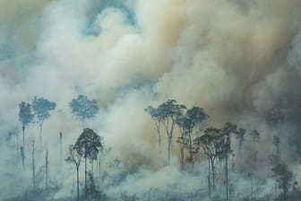 Bei einem Brand nahe der Stadt Caneiras do Jamari in Bundesstaat Rondônia steigt dichter Rauch auf.