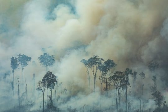 Bei einem Brand nahe der Stadt Caneiras do Jamari in Bundesstaat Rondônia steigt dichter Rauch auf.
