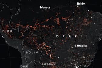 Aufnahmen aus dem All: Auswertungen der NASA zeigen das Ausmaß der Brände im Amazonasgebiet.