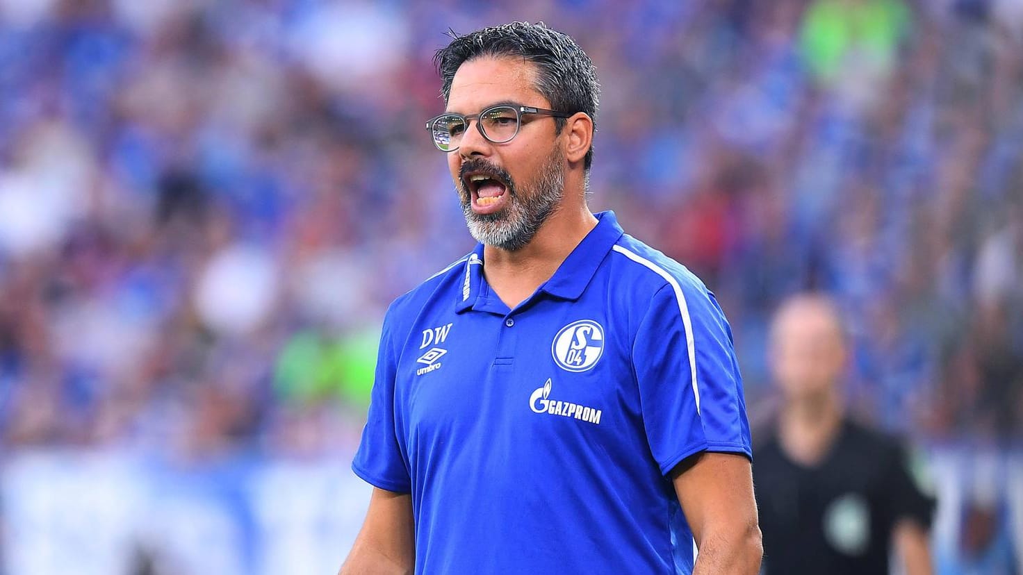 Sah sein Team im Nachteil: David Wagner.