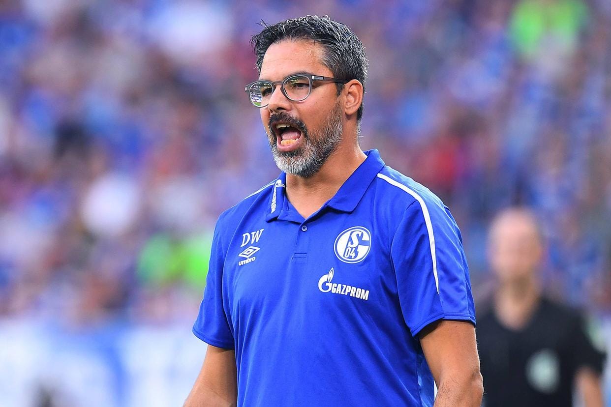 Sah sein Team im Nachteil: David Wagner.