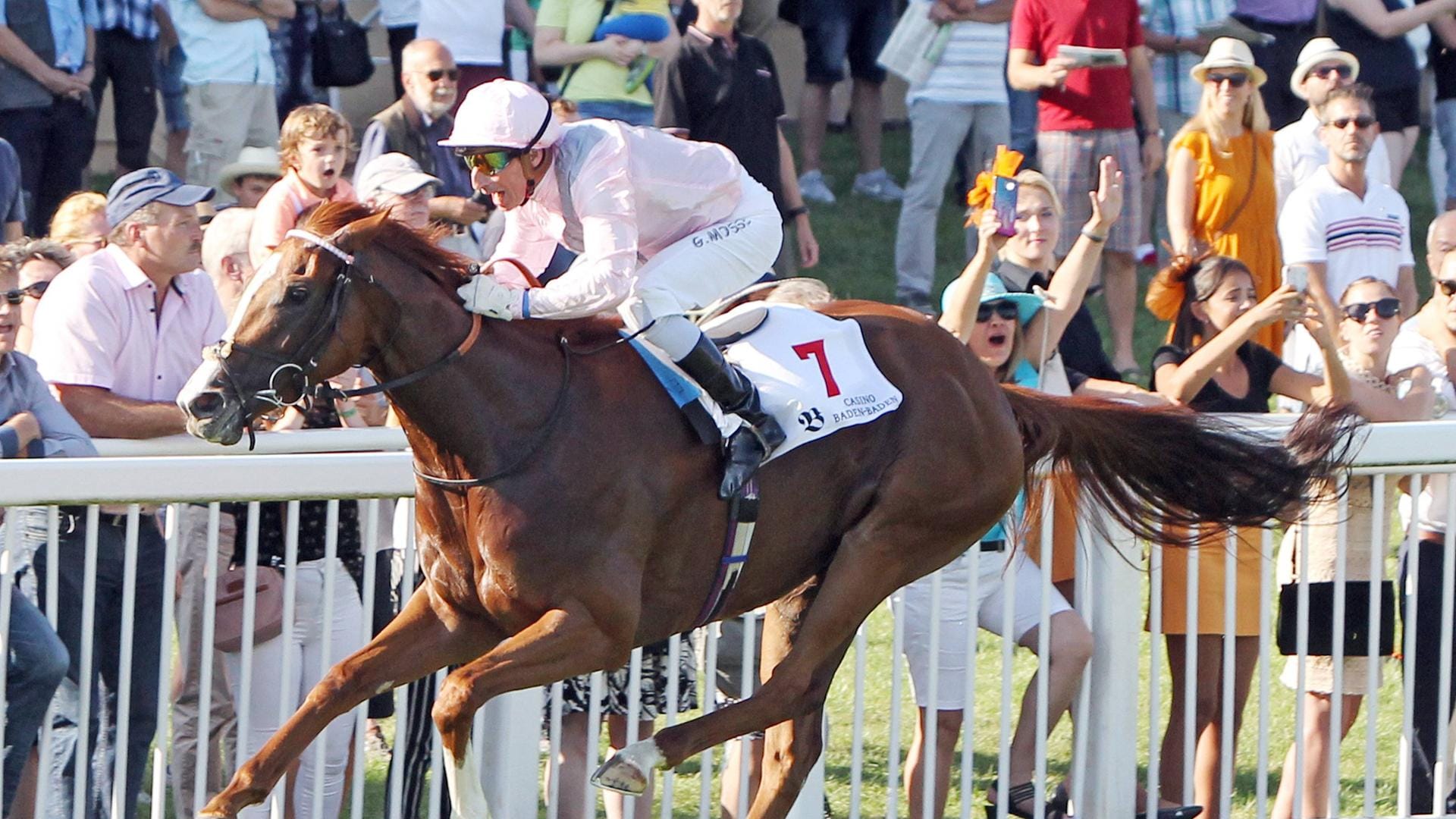 Die Stute Royal Intervention im Galopp: Sie gewann mit Jockey Gerald Mossé die Goldene Peitsche bei der Großen Woche in Iffezheim.