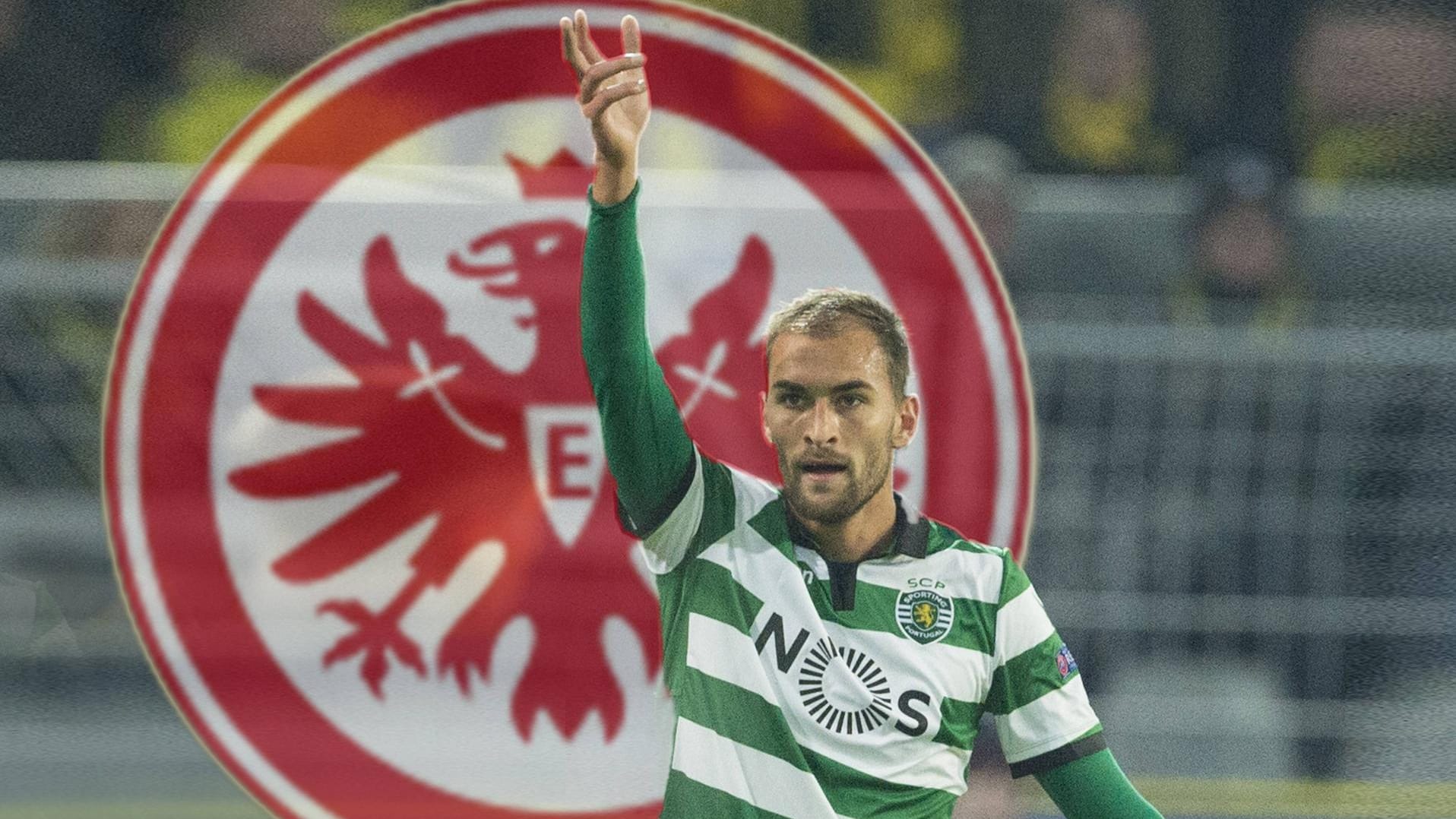 Stürmt ab sofort für die Hessen: Bas Dost.