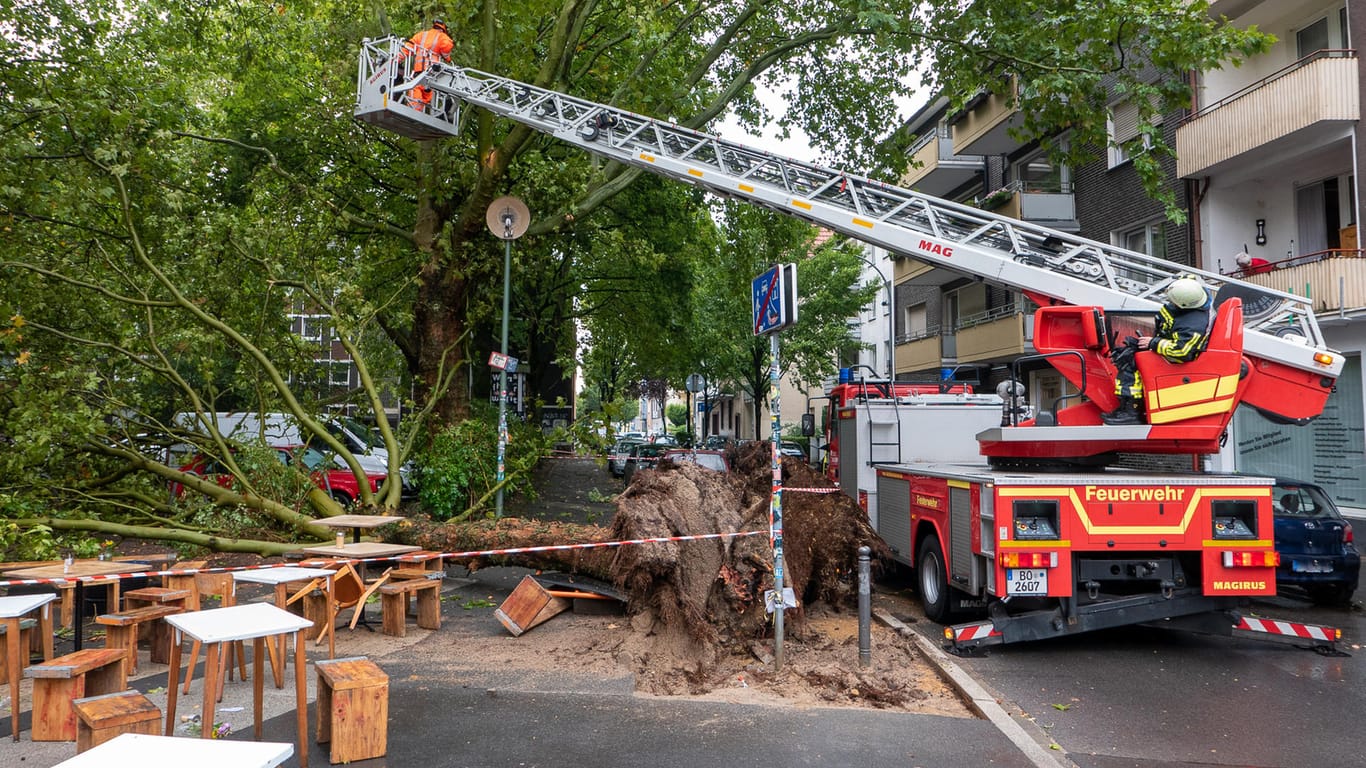 Bochum: Nach einem kurzen und heftigen Gewitter liegt ein umgestürzter Baum neben dem Außenbereich einer Eisdiele.
