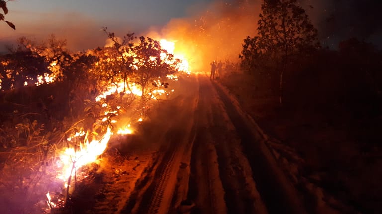Brände im Brasilien: Zahlreiche Feuer zerstören unzählige Hektar Regenwald.