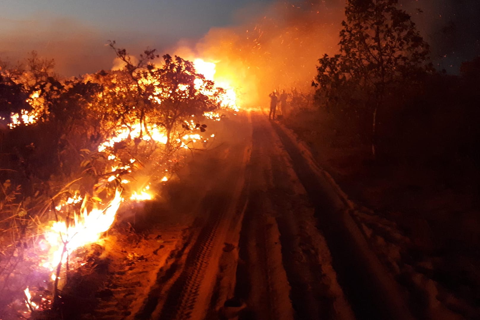 Brände im Brasilien: Zahlreiche Feuer zerstören unzählige Hektar Regenwald.