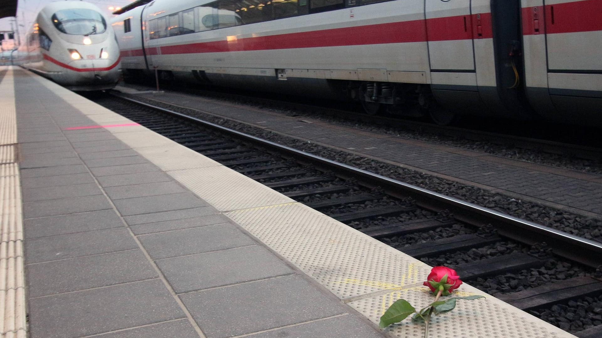 Eine Rose liegt am Gleis 7 des Frankfurter Hauptbahnhofes: Hier wurde der Junge auf die Gleise gestoßen. Eine Rose liegt am Gleis 7 des Frankfurter Hauptbahnhofes: Hier wurde der Junge auf die Gleise gestoßen.