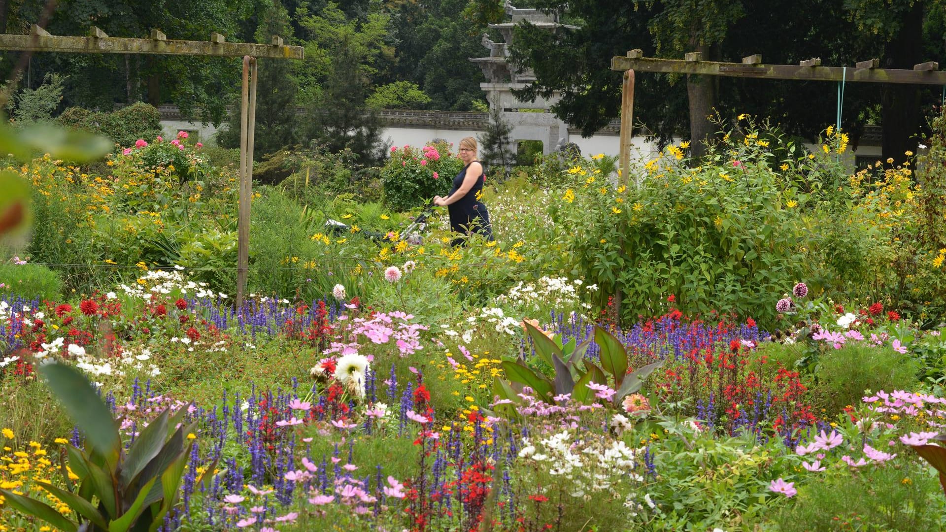 Blühende Blumen im Bethmannpark: Eine beliebte Grünanlage in Frankfurt.