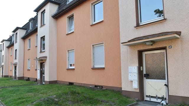 Die Suche nach der Giftschlange in dem Gebäudekomplex in Herne blieb erfolglos.